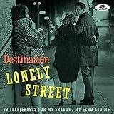 Destination Lonely Street: 32 Tearjerkers For My Shadow, My Echo And Me (Various Artists)