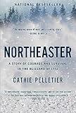 Northeaster: A Story of Courage and Survival in the Blizzard of 1952