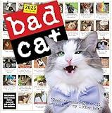 Bad Cat Wall Calendar 2025: Celebrating the Misfits of the Feline World