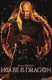 Trends International House of the Dragon - Daemon One Sheet Wall Poster, 22.375" x 34", Premium Unframed Version