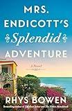Mrs. Endicott's Splendid Adventure: A Novel
