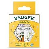 Badger - Classic Lip Balm Gold Box with Aloe, Extra Virgin Olive Oil, Beeswax & Essential Oils, Lip Balm Variety Pack, Certified Organic, 0.15 oz (4 Pack)