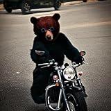 Camping Gear [Explicit]