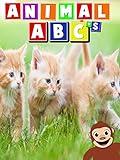 Animal ABC's
