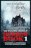 The Young Adult Horror Book - 1: Paranormal And Supernatural YA Fiction Anthology Stories (Eerie Encounters)