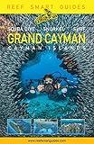 Reef Smart Guides Grand Cayman: (Best Diving Spots)