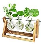 Ivolador Plant Propagation Station,Bulb Plant Terrarium with Wooden Stand,Unique Gardening Gifts for Women Plant Lovers,Hydroponic Indoor Planter Home Office Garden Wedding Decor - 3 Bulb Glass Vases
