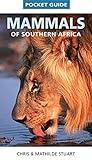 Pocket Guide: Mammals of Southern Africa (Struik Nature)