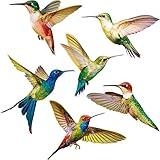 6 Pieces Large Size Hummingbird Window Clings Anti-Collision Window Clings Decals to Prevent Bird Strikes on Window Glass Non Adhesive Vinyl Cling Hummingbird Stickers