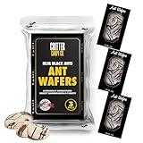 Hotlix Real Ants Wafers Candy (3-Pack), Halloween Candy, Edible Bugs For Humans, Unique Halloween Candy, Weird Food, Bug Candy, Halloween Snacks, Candy Packs, Halloween Chocolate, Edible Insects