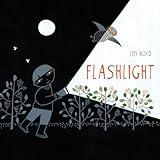 Flashlight: (Picture Books, Wordless Books for Kids, Camping Books for Kids, Bedtime Story Books, Children's Activity Books, Children's Nature Books)