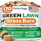 Dog Urine Neutralizer for Lawn - 170 Green Lawn Chews for Dogs - Pee Grass Burn Spot Saver Caused by Dog Urine with Probiotics & Digestive Enzymes - Advanced Gut Health Supplement, Rocks