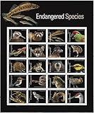 Endangered Species (Sheet of 20) Postage Forever Stamps US Postal First Class Animal Bird Fish Duck Wildlife Habitat Announcement Celebrate Anniversary Wedding 2023 Scott #5800