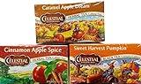 Caramel Apple Dream, Cinnamon Apple Spice, Sweet Harvest Pumpkin - Tea Bags - Limited Edition Fall Variety Bundle of 3 Boxes - 60 Total Tea Bags