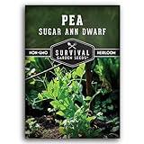 Sugar Ann Dwarf Pea Seed for Planting - 1 Packet with Instructions to Plant and Grow Sweet Snap Peas in Your Home Vegetable Garden - Non-GMO Heirloom Variety - Survival Garden Seeds