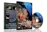 Underwater DVD - Underwater Fantasy - A Journey To Macro World - Explore the Breath-taking Seas and Oceans of Southeast Asia