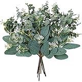 Mixed Eucalyptus Leaves Stems Bulk Artificial Eucalyptus Leaves Sprays Faux Oval Eucalyptus Leaves with White Seeds Stems for Floral Wreath Garland Bouquets Arrangement Wedding Greenery Decoration…