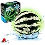 Watermelon Ball Lit - Glow in The Dark Pool Toy for Kids Ages 8-12, Teens, Adults - 9 Inch Swimming Pool Game for Family Fun