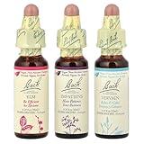 Bach Original Flower Remedies, Get it Done Kit, for Motivation (Non-Alcohol Formula), Natural Homeopathic Flower Essence, Vegan, 3 x 10ml Droppers