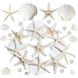 JQAQJU Starfish and Scallop Shells for Crafts 26PCS, Natural Large Beach Sea Shells for Crafts, Small Shells and Pearls Mixed, Baking Shells Perfect for Beach Party Christmas Decor Fishtank DIY