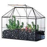 NCYP Glass Terrarium Planter with Lid for Small Succulent Cacti, Grid House Shape Black Geometric Terrarium Pot, Home Garden Indoor Tabletop Decor, 9.84" x 5.31" x 7.87" (No Plants)