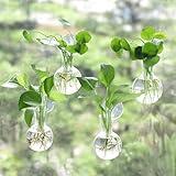 Bunmery 4 pcs Window Propagation Stations, Easy to Install Plant Propagation Bulbs with Suckion Cups, No Nails Wall Hanging Planter Propagation Station, Glass Plant Terrarium Vase