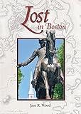 Lost in Boston (Mom's Choice Award Recepient) (Books by Jane R. Wood)