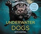 Underwater Dogs
