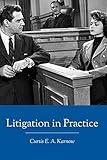 Litigation in Practice