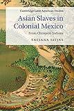 Asian Slaves in Colonial Mexico: From Chinos to Indians (Cambridge Latin American Studies, Series Number 100)