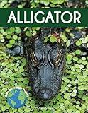 Alligator: Fascinating Animal Facts for Kids (This Incredible Planet)