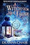 A Witch For Mr. Frost (Witches of Christmas Grove Book 5)