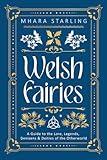 Welsh Fairies: A Guide to the Lore, Legends, Denizens & Deities of the Otherworld (Welsh Witchcraft, 2)