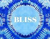 Bliss: Transformational Festivals & the Neo Hippie