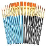 20 Pcs Paint Brushes, Acrylic Painting Brush Set, Watercolor Brushes, Acrylic Brushes for Oil Watercolor, Miniature Detailing, and Rock Painting