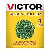 Victor Rat Poisoning for Inside & Outdoor Use - Kills Rats, Mice, Meadow Voles | Mouse Poisoning for Indoor & Outside Areas, Ready-to-Use, Yellow, M925, 4 lbs