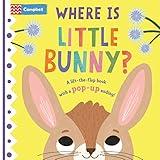 Where Is Little Bunny?: The lift-the-flap book with a pop-up ending!