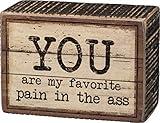 Primitives by Kathy 33824 Rustic Box Sign, NA, 3.5 X 2.5", You are My Favorite Pain in the Ass, white