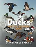 Ducks: Facts & Coloring Book: Fun Facts and Colouring Activity Book for Children Aged 2 to 16 Years (Animal Facts and Coloring)