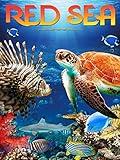 Red Sea