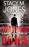 Sparrow Down (A Connor Fitzgerald Thriller Book 2)