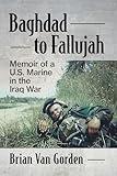 Baghdad to Fallujah: Memoir of a U.S. Marine in the Iraq War