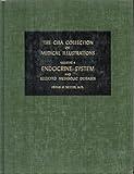 Endocrine System and Selected Metabolic Diseases (The CIBA Collection of Medical Illustrations, Vol. 4)