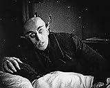 New 8x10 Photo: Max Schreck as Count Orlok in Nosferatu, Classic Silent Film