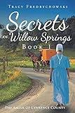 Secrets of Willow Springs - Book 1 (The Amish of Lawrence County)