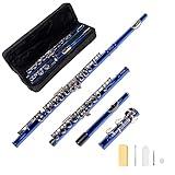 LeSage Closed Hole C Flutes 16 Key Blue Flute for Student Flute Beginner Starter with Flute Case Maintenance Kit Cleaning Cloth C Foot Offset G Y-arm