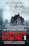 The Young Adult Horror Book - 1: Paranormal And Supernatural YA Fiction Anthology Stories (Eerie Encounters)