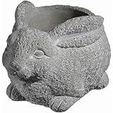 Classic Home and Garden Cement Buddies Animal Planter - Cute Desk Decoration - UV Coated Animal Vase w/Removable Drain Plug -Succulent Planter for Indoor/Outdoor Use (Rabbit Planter, Natural, Small)