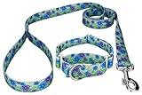 Country Brook Petz - Blue April Blossoms Martingale Dog Collar and Leash - Spring Collection Featuring Springtime Designs (1 Inch, Medium)