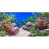AWERT 36x24 inches Aquatic Plant Fish Tank Background Stone River Bed & Lake Aquarium Background Vinyl